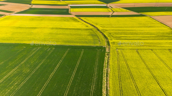 Agricultural land market is opened in Ukraine: demand is abundant and supply is low 